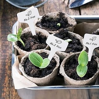 Etiquetas de plantas em forma de T em vasos de mudas