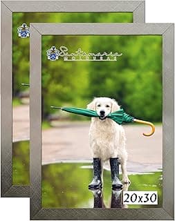 Kit 2 Molduras Porta Retrato 20x30 Prateado com Cão e Guarda-Chuva