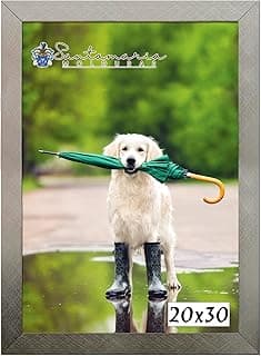 Moldura Porta Retrato 20x30 Prateado com Imagem de Cão com Guarda-chuva Verde
