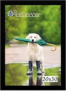Moldura Porta Retrato 20X30 Preto com foto de cão segurando guarda-chuva