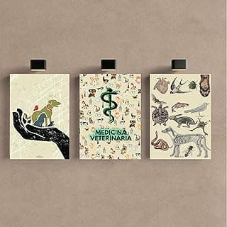 Kit 3 Quadros Decorativos Medicina Veterinária Consultório