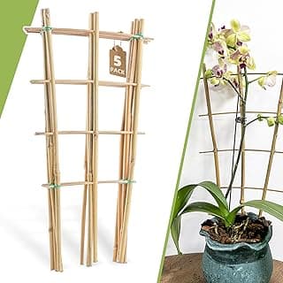 Pacote com 5 treliças de bambu de 16 polegadas para plantas trepadeiras com orquídea