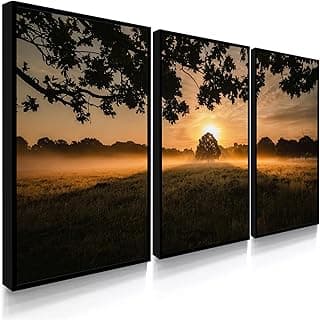 Kit de 3 quadros decorativos de paisagens naturais ao amanhecer com molduras pretas
