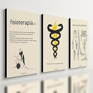 Kit 3 Quadros Decorativos Fisioterapia Consultório Clínica MDF 40x28cm