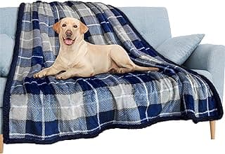 Manta impermeável xadrez azul e cinza para sofá com cão labrador