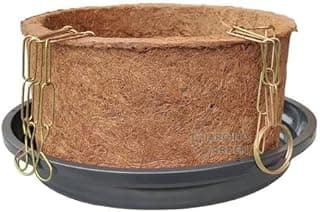 Kit Vaso de Fibra de Coco Grande G com correntes douradas