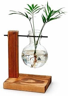 Vaso de vidro com planta e suporte de madeira, decoração escandinava.