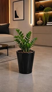 Vaso Para Plantas Coluna Lisa Polietileno Decorativa Jardim Varanda Casa Sala (Preto)