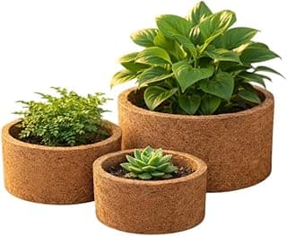 Kit de 3 vasos de fibra de coco para plantas, ideal para decoração de jardim e interiores.