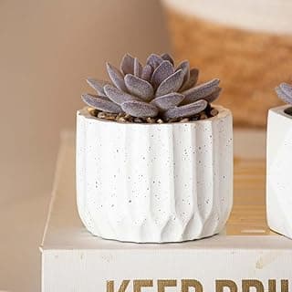 Vaso decorativo de suculenta artificial em cimento branco com textura ondulada