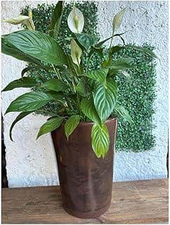 VASO PARA PLANTA DECORATIVO LUXO EFEITO MARMORIZADO C/PRATO (Marrom)