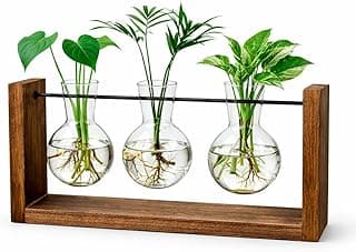 Vaso de vidro com plantas em suporte de madeira, decoração escandinava.