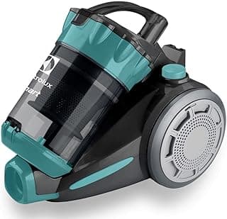 Aspirador de pó Electrolux ABS03 cinza e verde com filtro HEPA e bocal para estofados