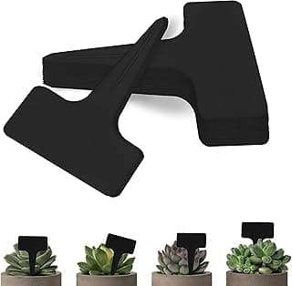 Etiquetas pretas para plantas tipo T em vasos com suculentas