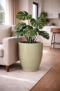 Vaso redondo verde de polietileno com planta tropical em sala de estar