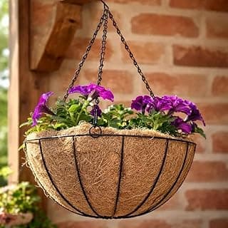 Vaso suspenso de fibra de coco natural com corrente e gancho, 20cm de diâmetro, contendo flores roxas, pendurado em parede de tijolos.