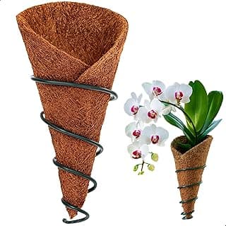 Vaso de cone de fibra de coco com orquídea branca em fundo branco